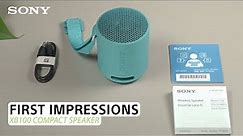 Sony | SRS-XB100 Compact Bluetooth® Speaker – First Impressions