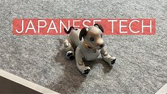 BEST Japanese Tech at CEATEC 2019