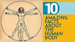 10 Amazing Facts about the Human Body