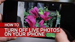 Turn off Live Photos on your iPhone