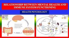 RELATIONSHIP BETWEEN MENTAL HEALTH AND IMMUNE SYSTEM FUNCTIONING - Health psychology