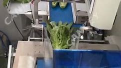 Leaf Vegetable Packaging Machine