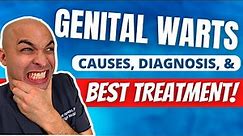 Genital Warts Explained | [ Symptoms, Diagnosis, and Treatment ]