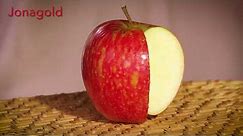 New England JONAGOLD apple
