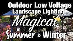 LED Low Voltage Outdoor Landscape Lighting - Magical in Summer & Winter by Total Outdoor Lighting