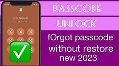 iPhone Passcode forgot how to restore (bypass iPhone screen passcode)2023