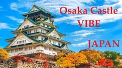 Japan Osaka Castle VIBE | 大坂城 | Ote-mon Gate | Kinmeisui Well | Toyotomi Hideyoshi | Sakura