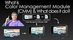 Color Management Module, CMM, Explained! Rethink Color Workflow & Display Calibration!