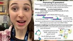 T7 RNA Polymerase & in vitro transcription (and more)