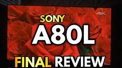Sony A80L Final Review