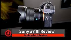 Sony a7 III Full Frame Camera Review - It's that Good!