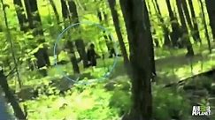 Best of Bigfootage | Finding Bigfoot