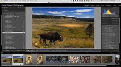 Using the Local Adjustment Tools to Take Your Images Beyond the Ordinary - Lightroom.