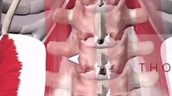 💪🏼 Conoce al verdadero guardián de tu Core: el Músculo Transverso Abdominal. Como “Pilater@s”, es fundamental resaltar la importancia de este músculo poco conocido pero vital para la estabilidad y el rendimiento físico.🧠 El Transverso Abdominal, situado profundamente en la pared abdominal, es el primer músculo en activarse antes de cualquier movimiento de brazos o piernas. 📍 Originándose en la fascia toracolumbar, las costillas inferiores y la cresta ilíaca, y con inserciones en la línea alb
