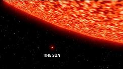 Sun vs Biggest Star Size Comparison | 3d Animation Comparison | Stars Real Scale Comparison