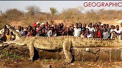Top 10 Largest Crocodiles Ever Recorded in History