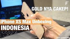 Review & Unboxing iPhone XS Max Gold & Grey - Indonesia by iTechlife