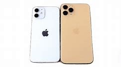 iPhone 12 Mini Size vs iPhone 11 Pro