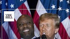 Trump Suggests Tim Scott 'Hates Haley' To His Face