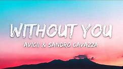 Avicii - Without You (ft. Sandro Cavazza) | 1 HOUR LYRICS