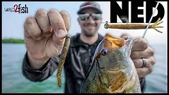 3 Reasons to Use Football Jigs When Ned Rigging Bass