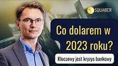 Polski rząd liczy, że dolar będzie się osłabiał, bo FED zacznie ratować system bankowy | 02.04.2023