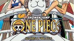 One Piece (English Dubbed): Season 1, Voyage 3 Episode 29 The Conclusion of the Deadly Battle! A Spear of Blind Determination!