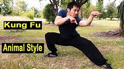 Kung Fu Animal Style With Stances Training