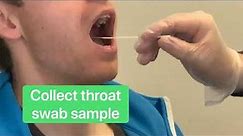 Biopanda Influenza A+B Rapid Test