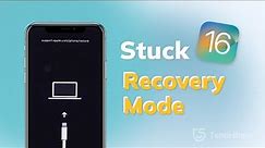 How to Fix iOS 16 iPhone Stuck in Recovery Mode during Update or Restore？[4 Ways!]