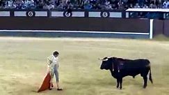 TOP Spanish Bull Fight Video Spanish Bull Fight run 2015 HD Best Video