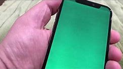 iPhone x water damage and green screen