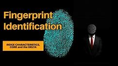 Fingerprint Identification | Personal Identification Techniques