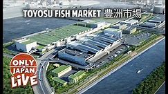 Tokyo’s New Toyosu Fish Market | Overview