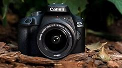 The Canon EOS 4000D is an Entry Level DSLR Full Review