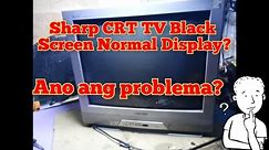 How to Fix Sharp CRT TV Black Screen Normal Display || VLOG #44