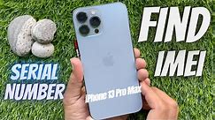 Find IMEI & Serial Number - iPhone 13 Pro Max
