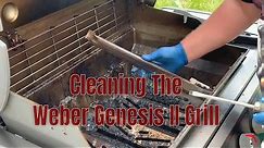 Cleaning the Weber Gas Genesis II Grill