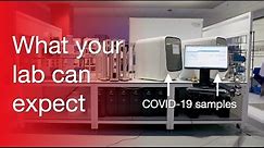 Introducing the Amplitude COVID-19 Testing Solution