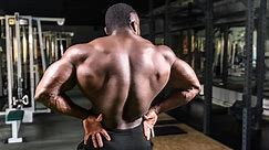 The Anatomy of Your Back Muscles, Explained (and How to Train Them) | BarBend