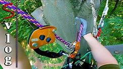 Tree Climbing: First Rope Walking with Petzl Chicane + ZigZag PLUS (Silent Vlog)