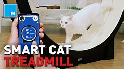 This smart cat treadmill will help your cat get in better shape
