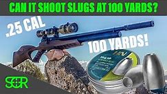 Can the JTS Airacuda Shoot Slugs? at 100 YARDS?!? - H&N .25 CAL SLUGS