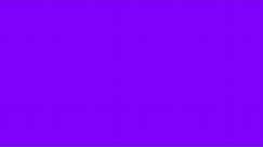 Purple screen, full screen (1 hour)