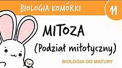 Cytologia 11 - Mitoza podział mitotyczny - biologia do matury rozszerzona przygotowanie egzamin
