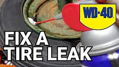 How to fix a tire leak with WD-40. Works for tubeless tires.
