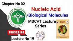 Nucleic Acid Class 11 Biology | Biological Molecules MDCAT | Lecture No 19 | Nucleotide Biochemistry