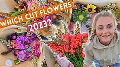 Which Cut Flower Varieties I'm Growing In 2023 (annual flowers for my flower farm)
