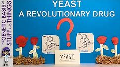 From yeast to opioids: A revolutionary pathway to drug synthesis