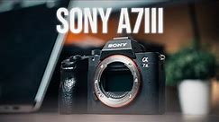 Sony A7III Review In 2023 | Still Worth It?